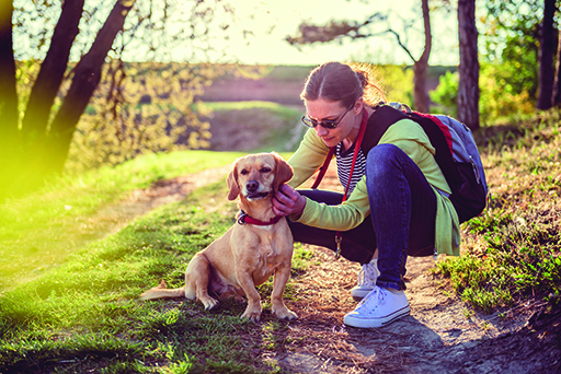 Pet health_dog_walks.jpg